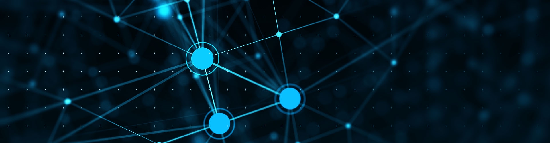 IP Address Services